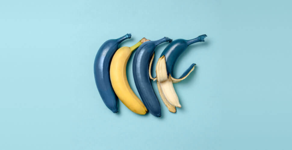 Digital Minimalism: Reclaiming Your Brain in the Attention Economy